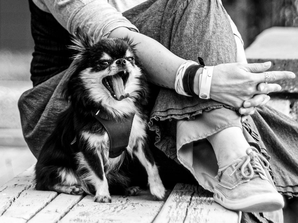 Photograph by Дмитрий Давидов