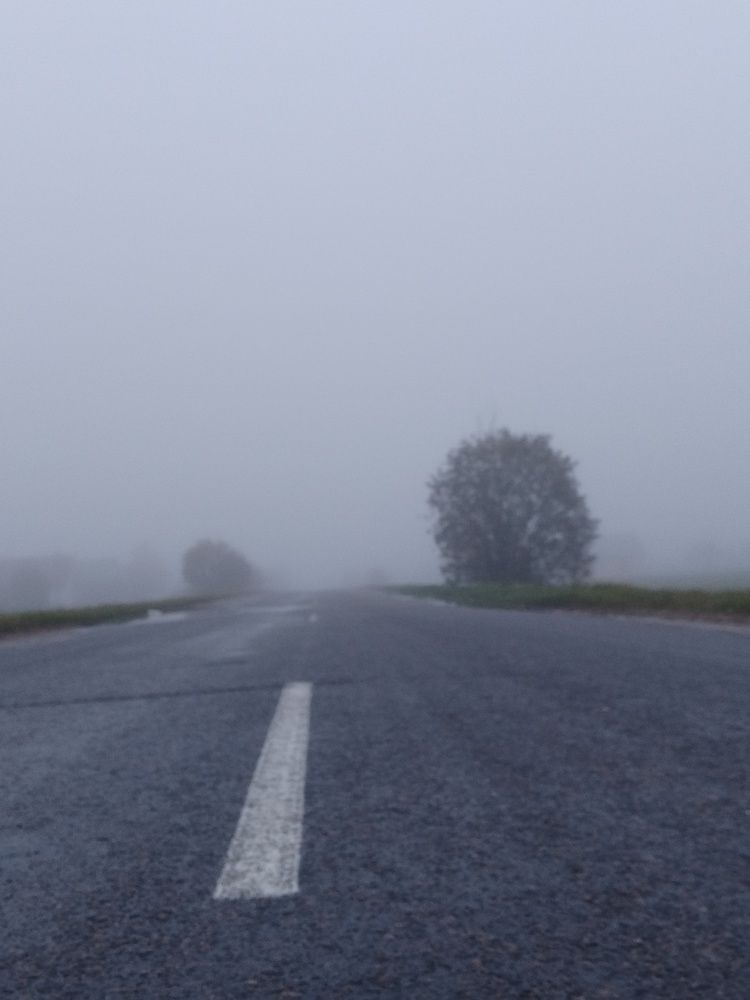 Photo #9760893