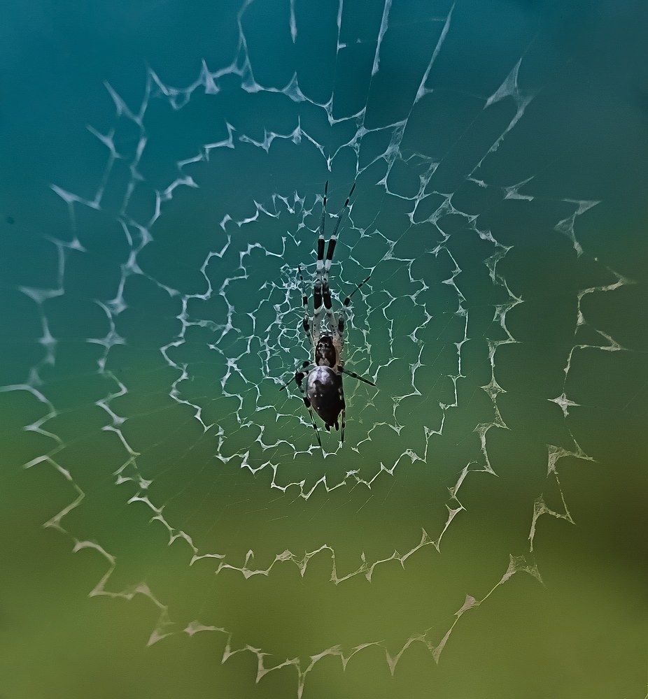 Photograph by Shubhra Das