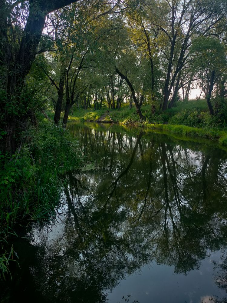 Photograph by Сергей Конюшенко