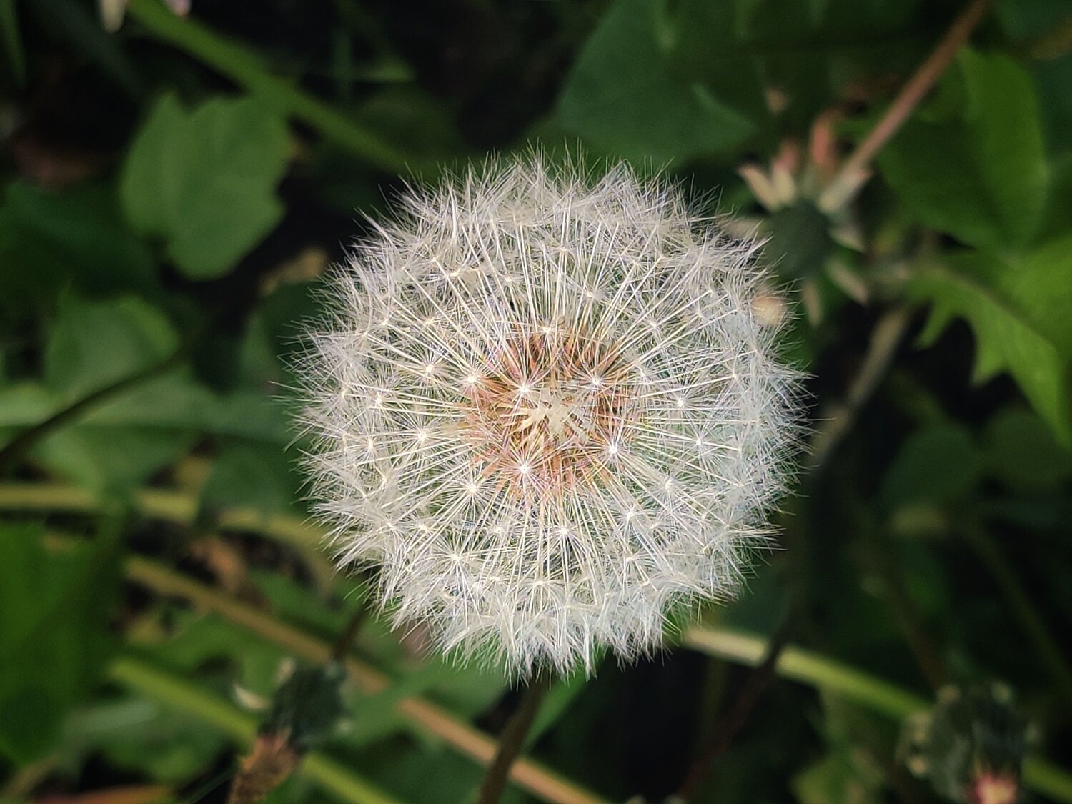 Photo #9760992