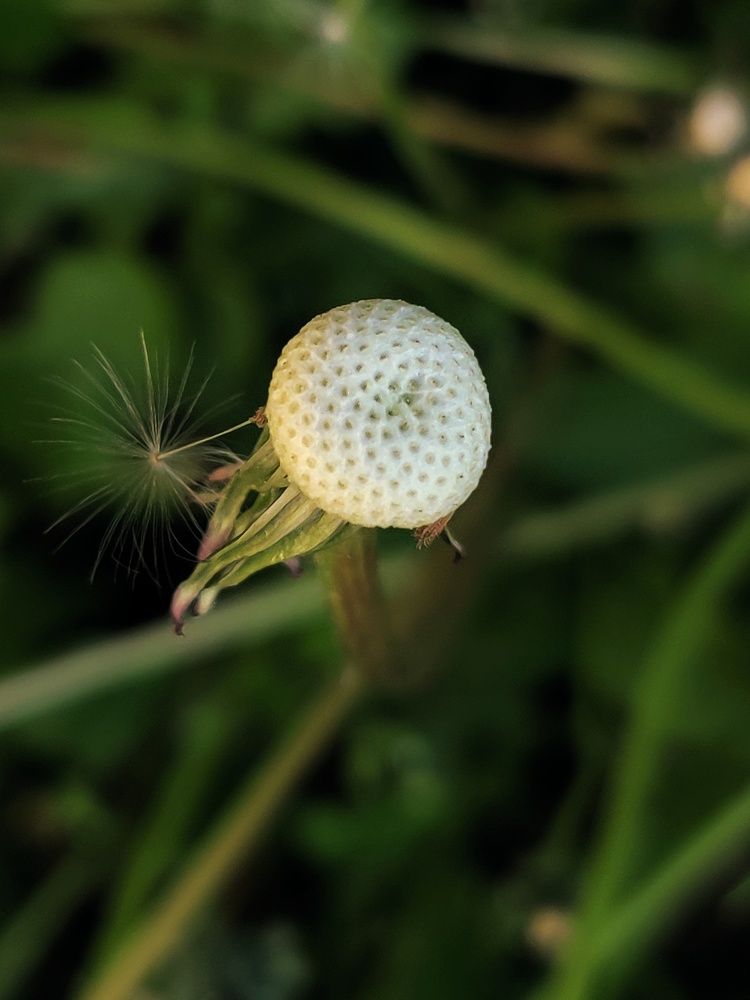 Photograph by Goutom Dey