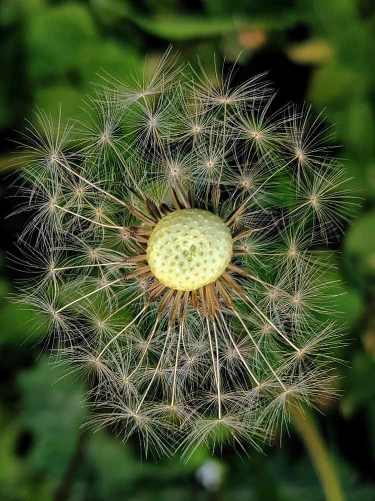 Photograph by Goutom Dey