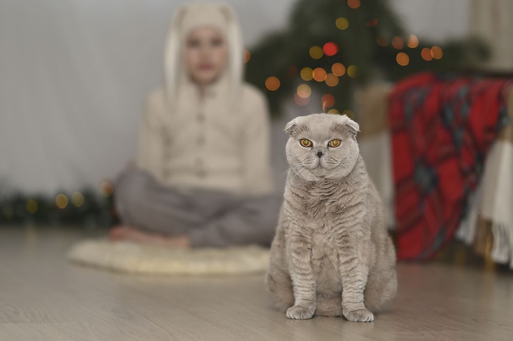 Photograph by Оксана Катаджи