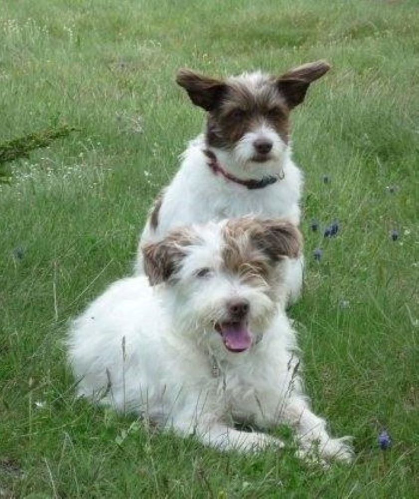 Фотография автора Slavica Gligorievska