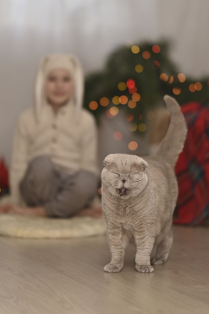 Photograph by Оксана Катаджи