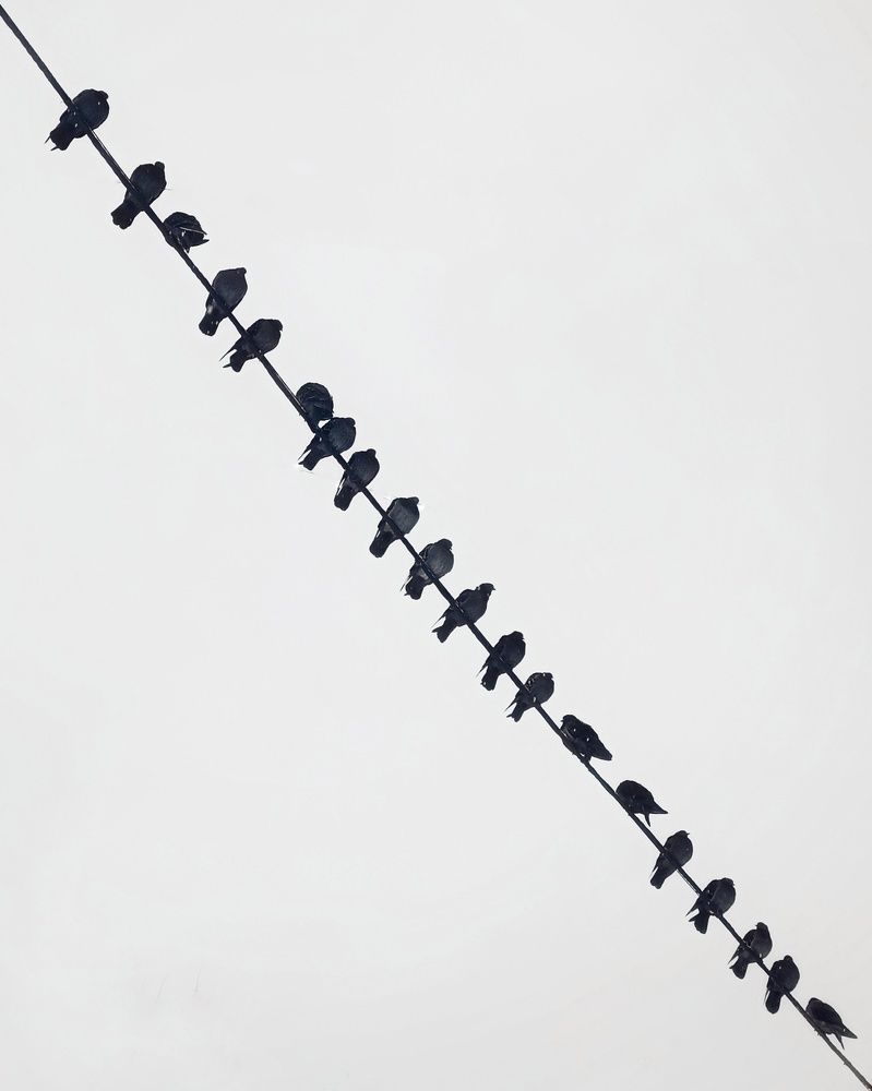 Photograph by Elena Bogomolova