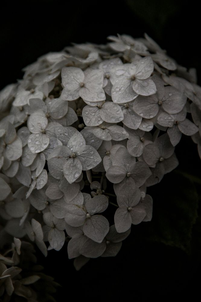 Photograph by Анастасия Псарёва