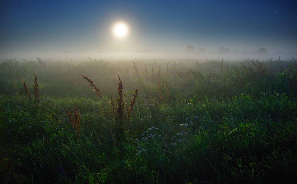 В лунном свете