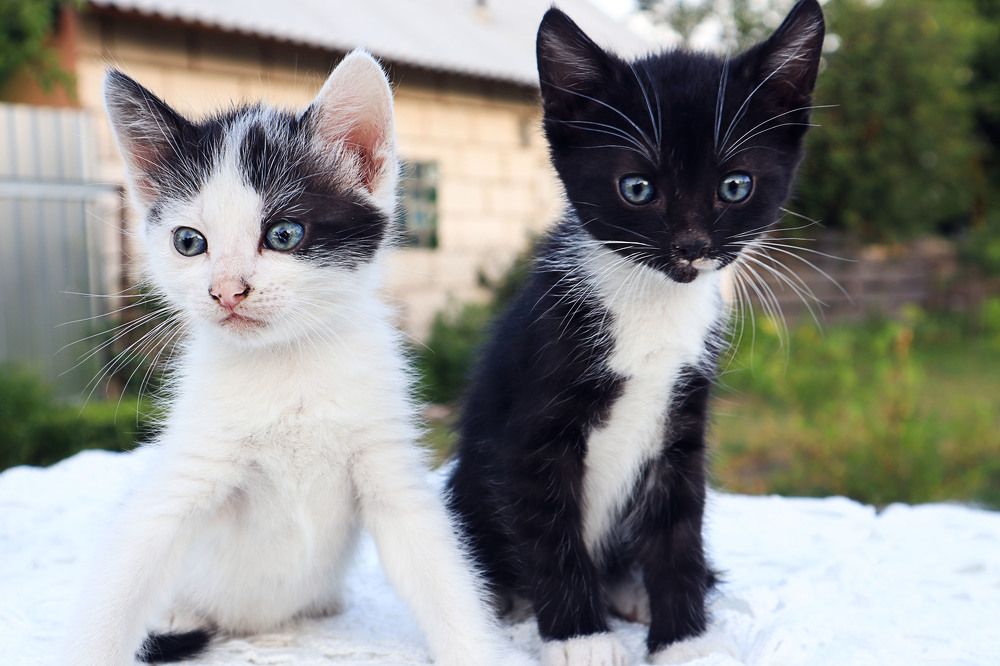 Photograph by Мария Самолевич