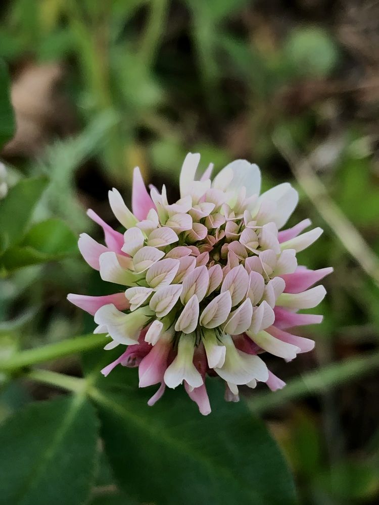Фотография автора Евгения Елисеева