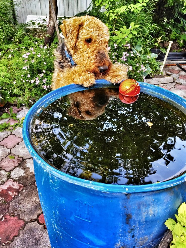 Photograph by Ольга Темкина