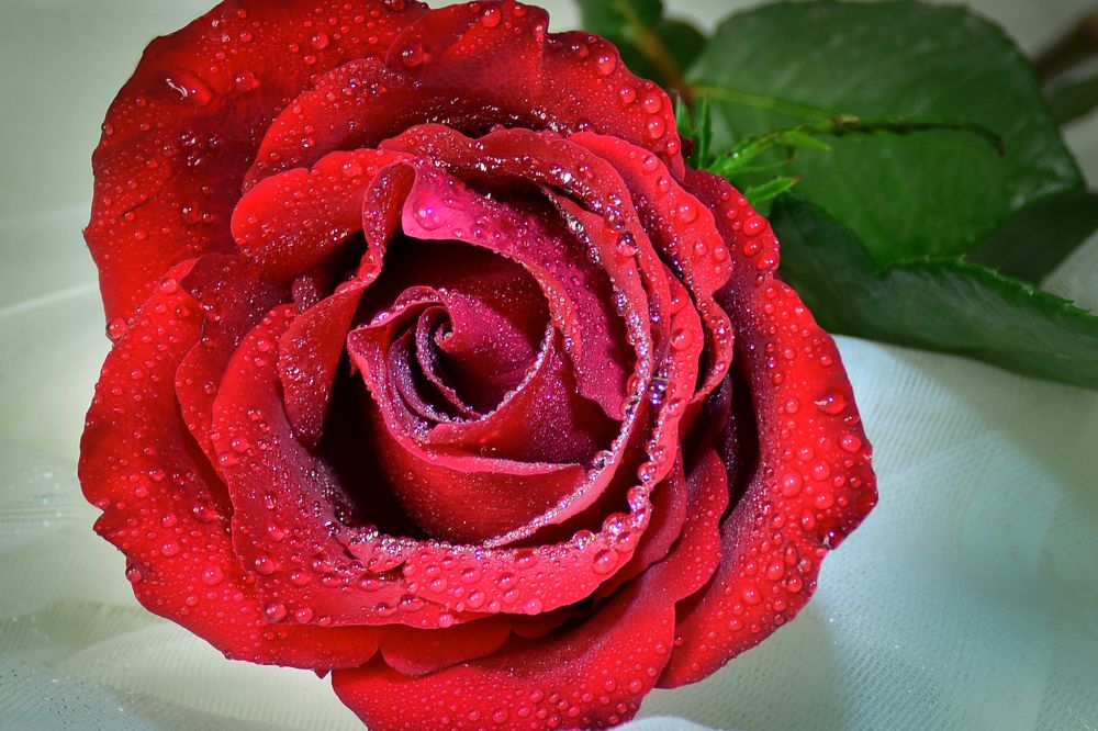 Photograph by Inna Ivanova