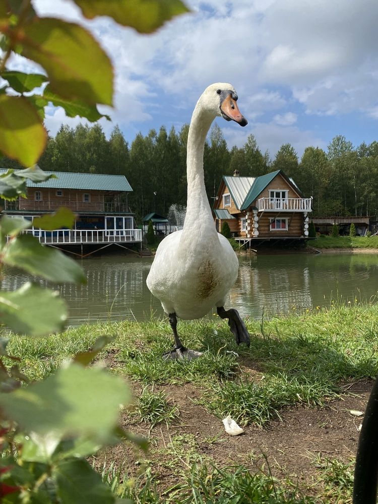 Photograph by Elena Voitova