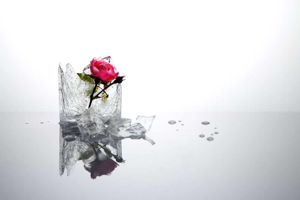 Photograph by Елена Овчинникова