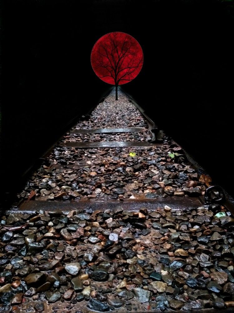 Photograph by Goutom Dey