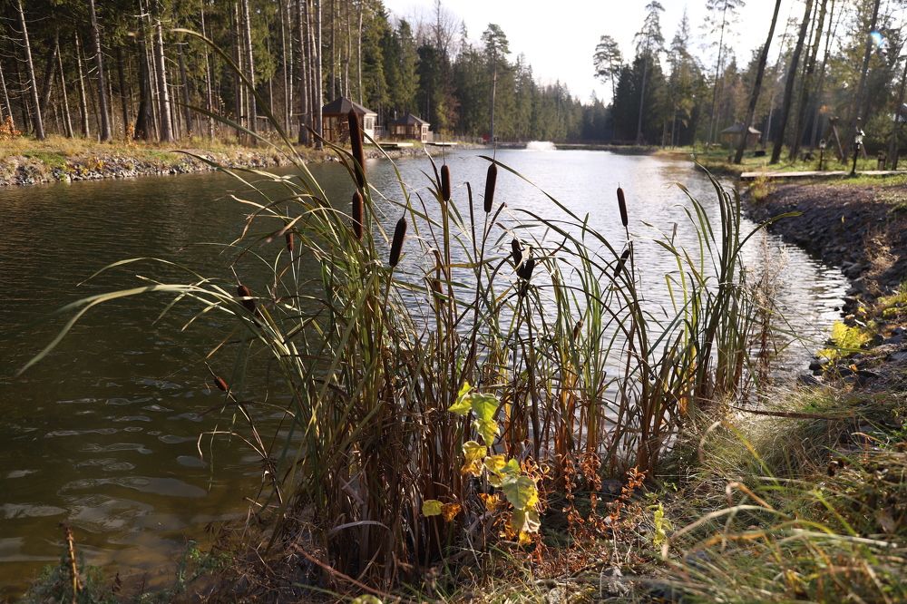 Photograph by Елена Тимченко