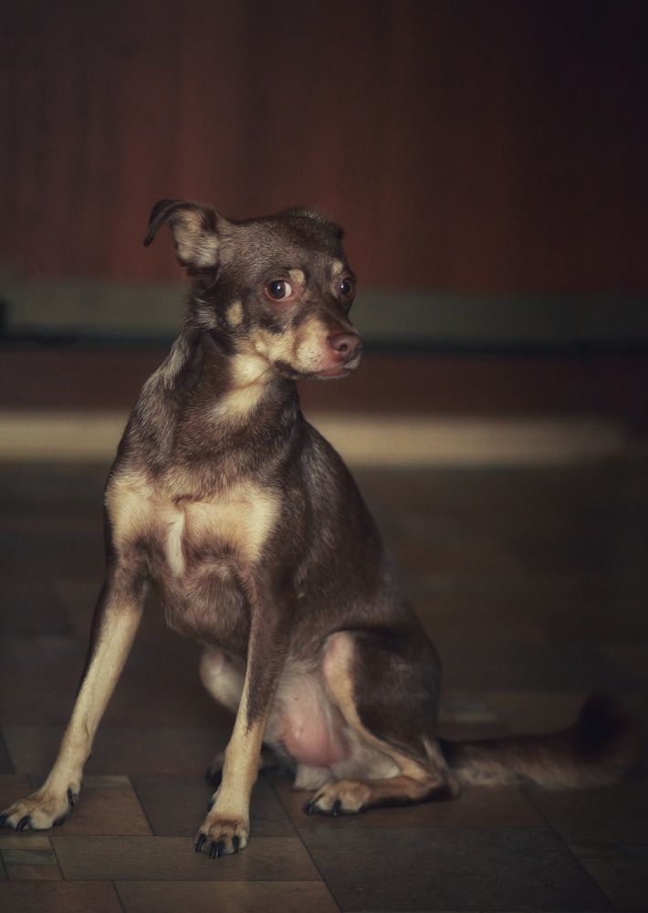 Photograph by Инга Сабанова