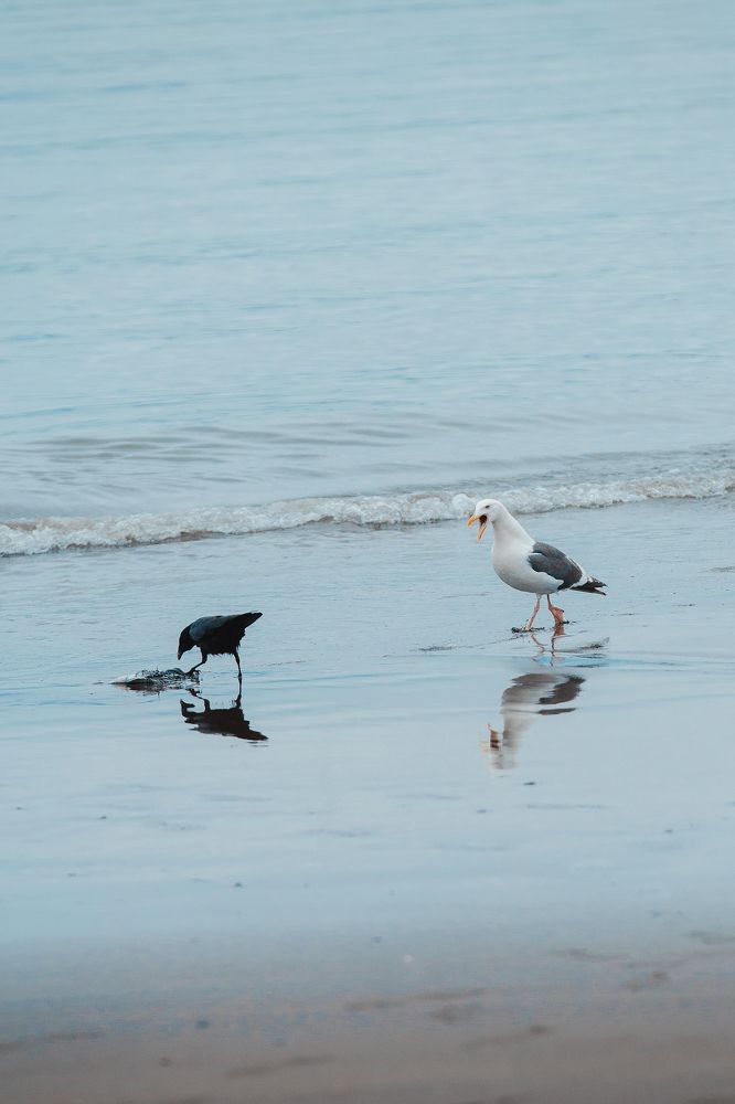 Photograph by Романова Марина