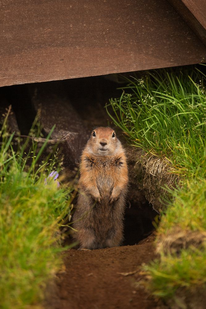Photograph by Романова Марина