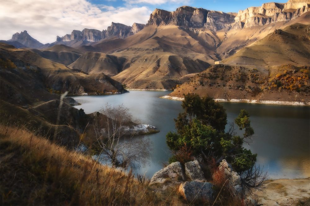 Photograph by Marina M