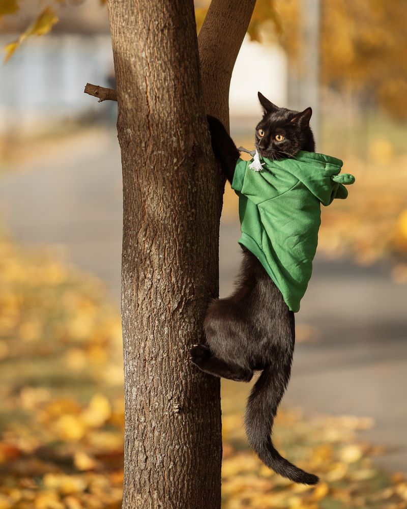 Photograph by Ольга Петрова
