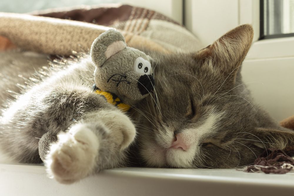 Photograph by Ольга Крючкова