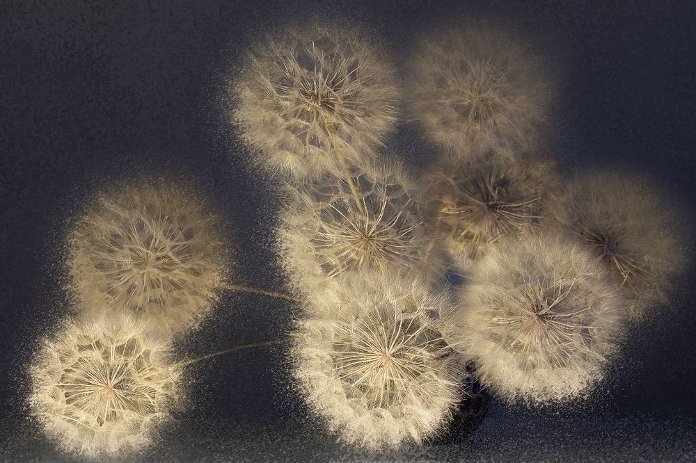 Photograph by Заболотская Ольга