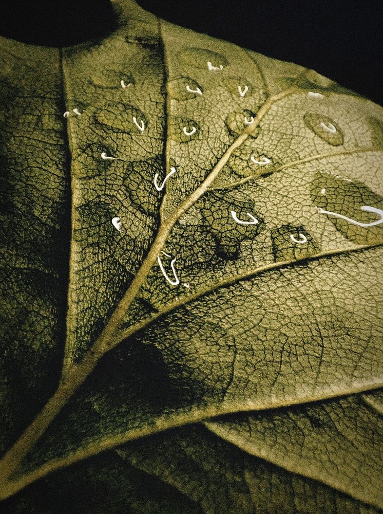 Photograph by Янтарная Елена