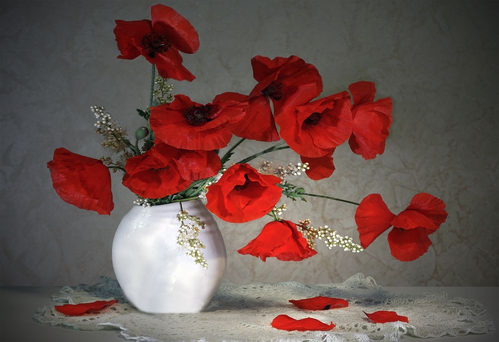 Photograph by Заболотская Ольга