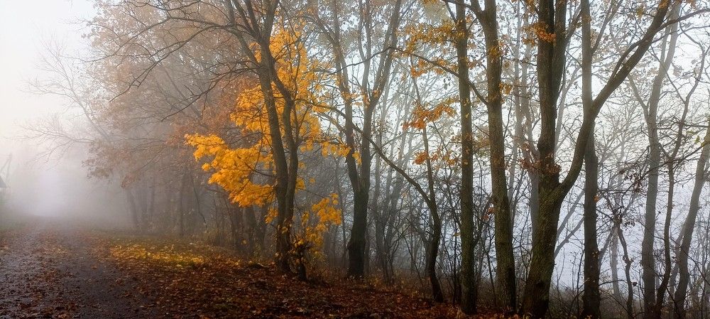 Photograph by Надежда Ржевская