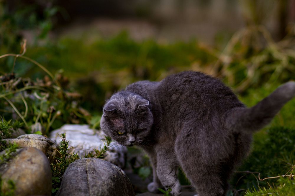 Photograph by Роман Крупченко