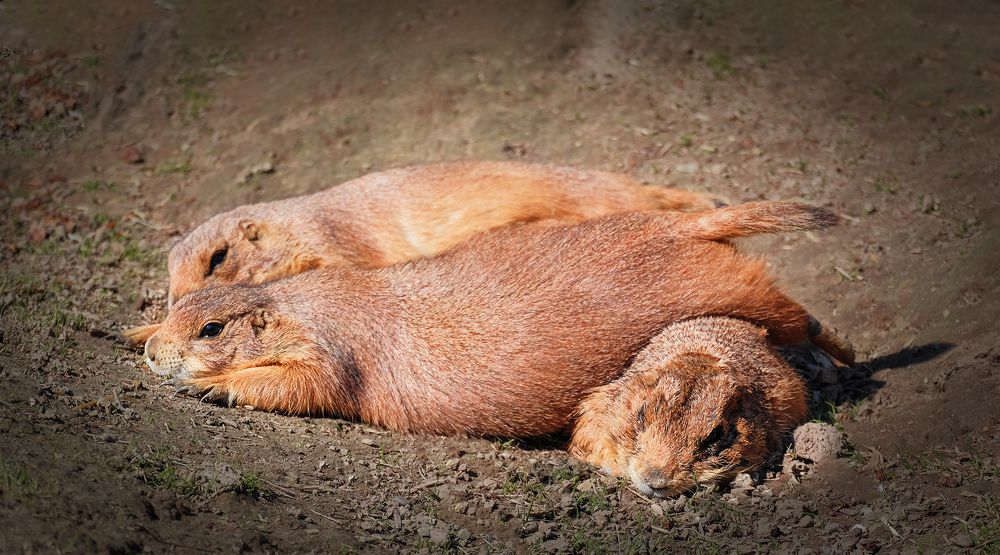 Photograph by Natalia Bolotenkova