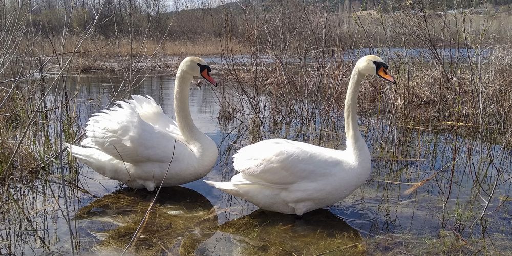 Photograph by Савчук Сергей