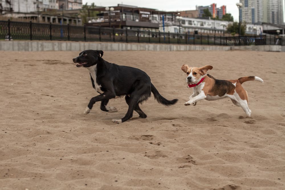 Photograph by Елена