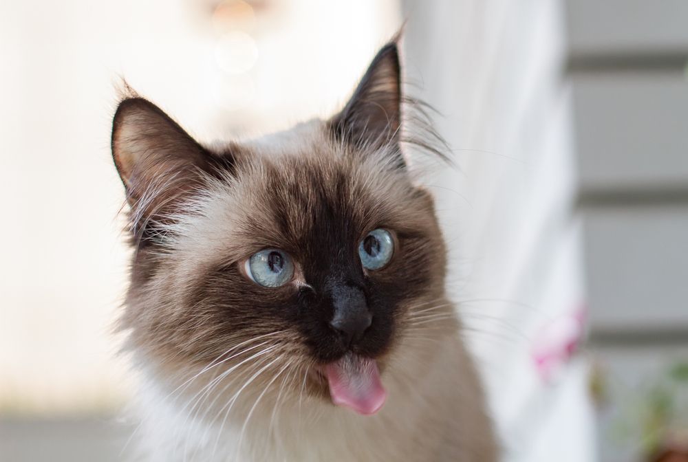 Photograph by Елена