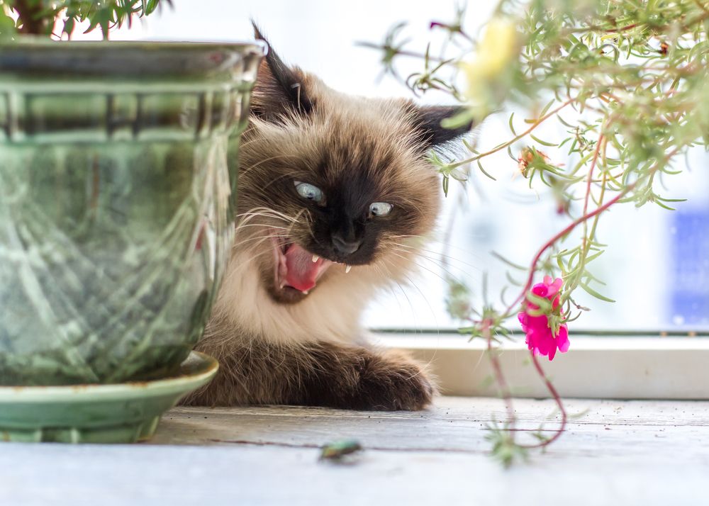 Photograph by Елена