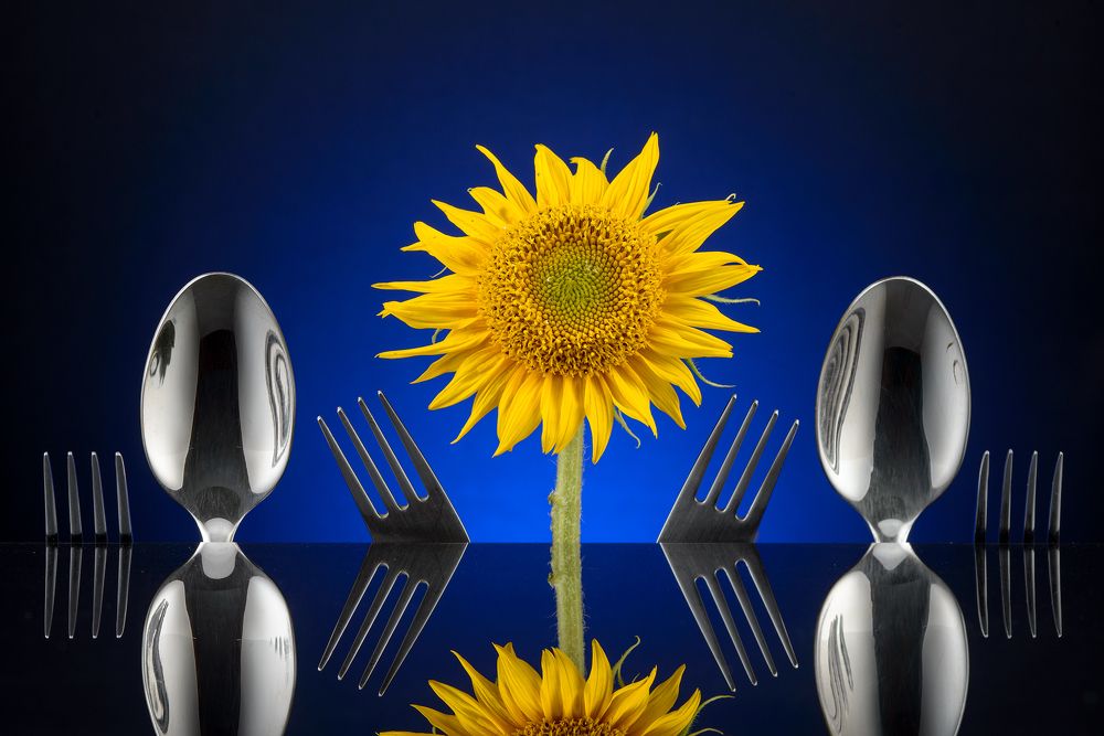 Фотография автора Сизов Кирилл