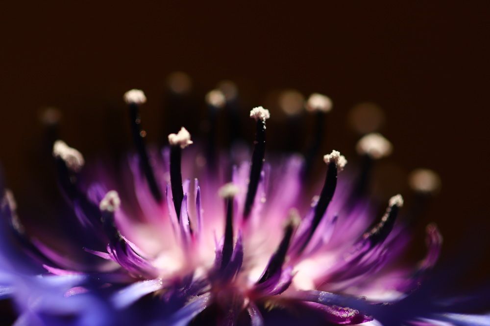 Photograph by Лада Денисова