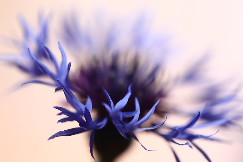 Photograph by Лада Денисова