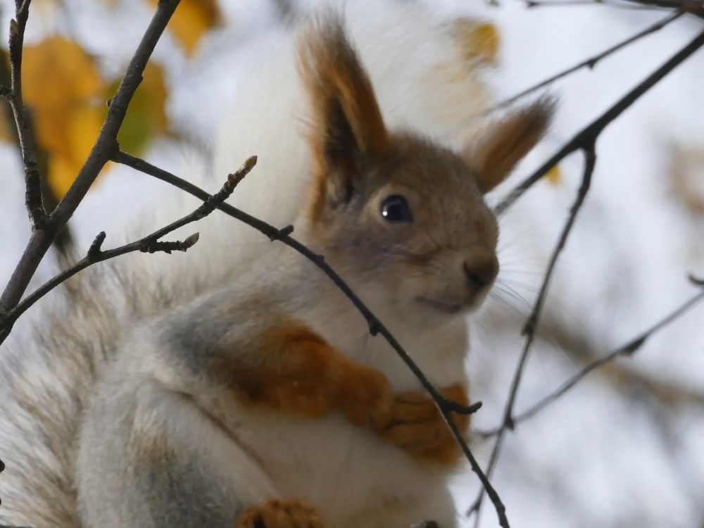 Photograph by Александр Кизим