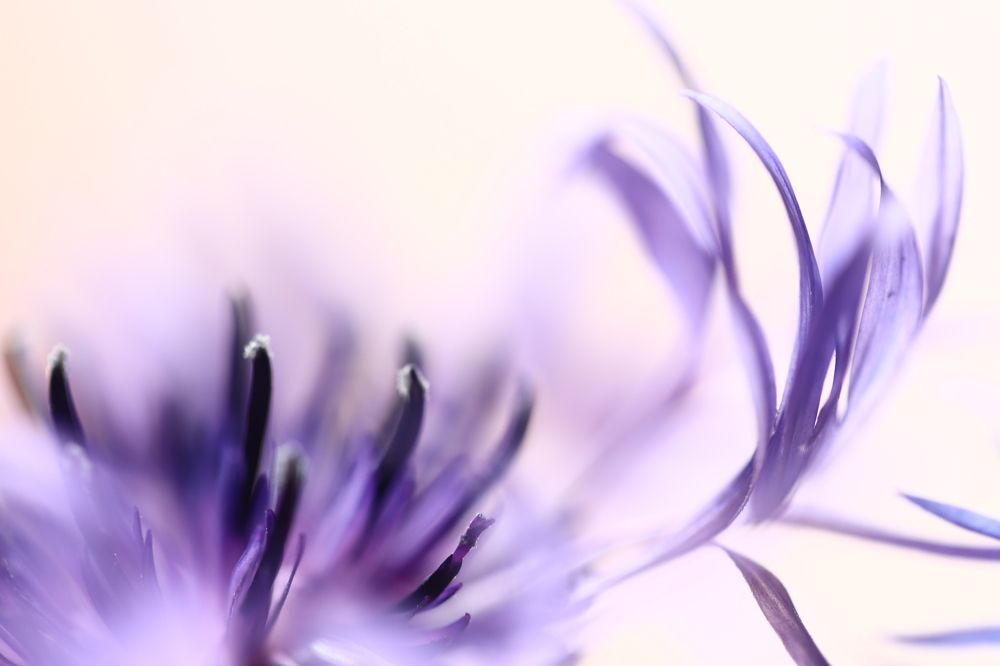 Photograph by Лада Денисова