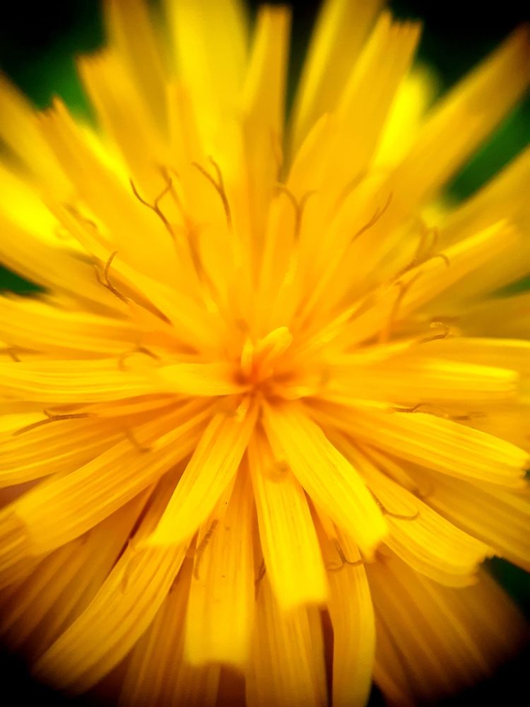 Photograph by Константин Григорьев