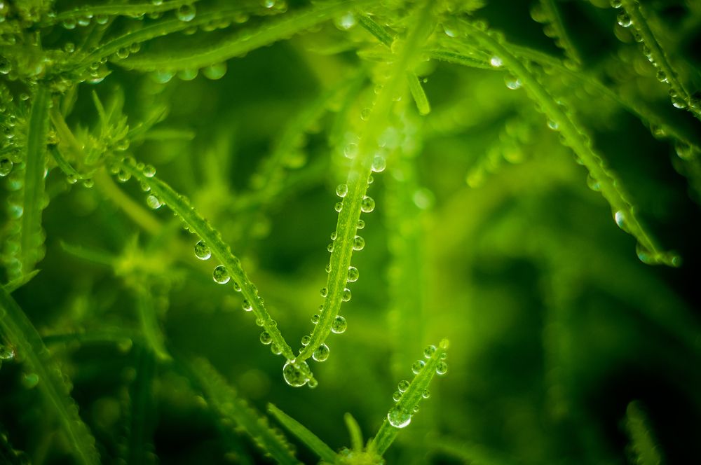 Фотография автора Ксения Смирнова