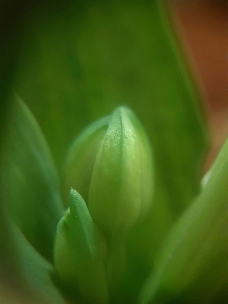 Photograph by Константин Григорьев