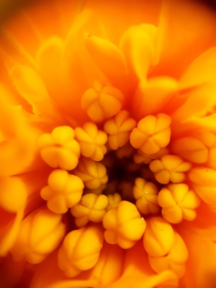 Photograph by Константин Григорьев