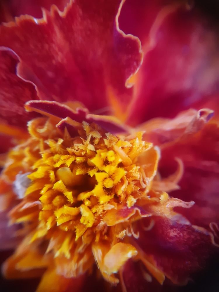 Photograph by Константин Григорьев