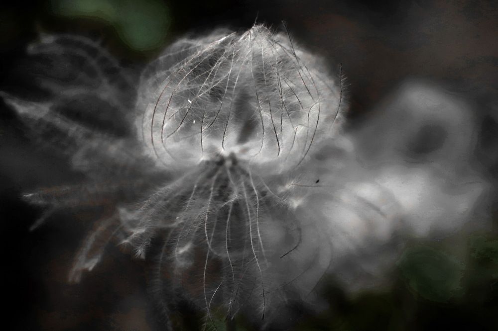 Photograph by Лада Денисова