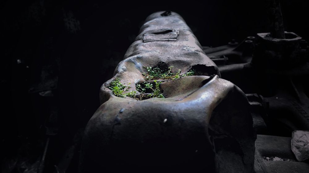 Photograph by Goutom Dey