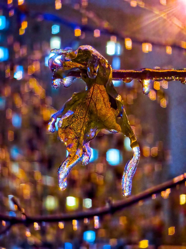 Photograph by Владимир Крылов